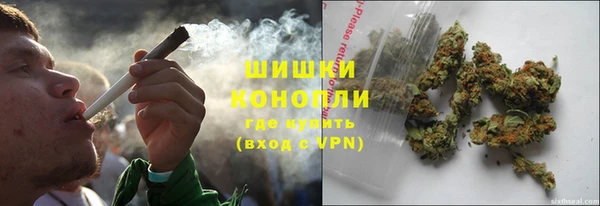 дживик Зеленокумск