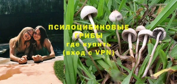 дживик Зеленокумск