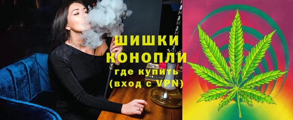 дживик Зеленокумск